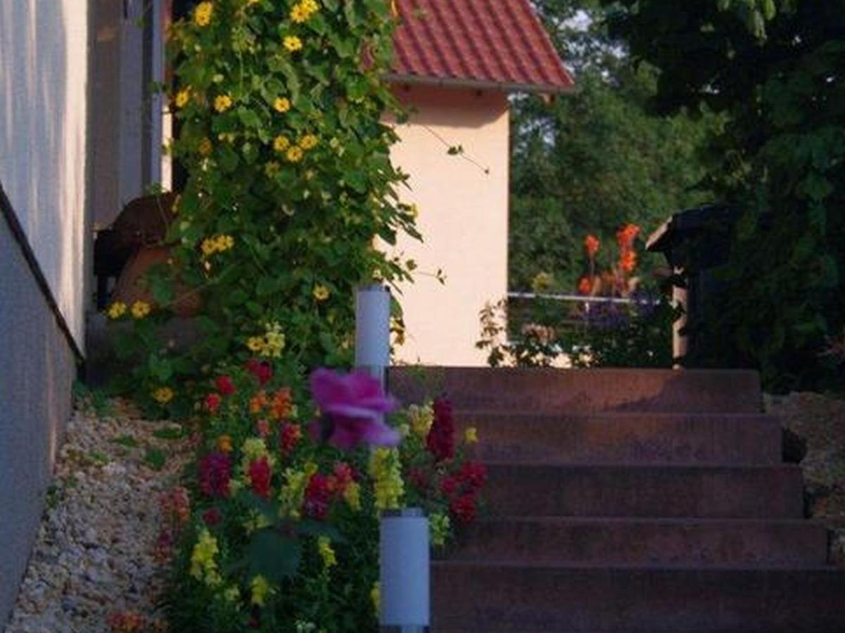 Апартаменты Annettes Ferienstuebchen Бад-Берка Экстерьер фото